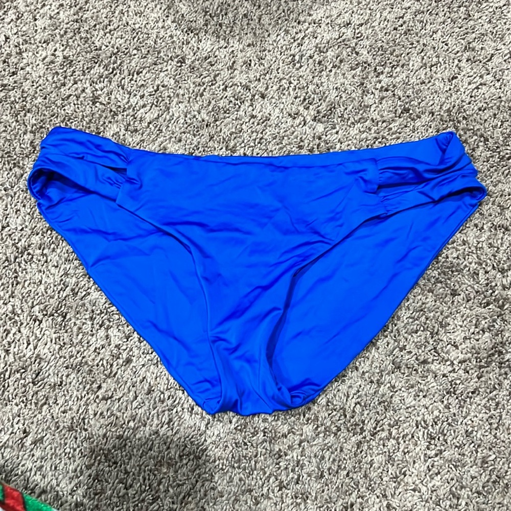 Blue swimsuit bottoms